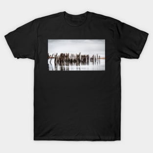 All That Remains T-Shirt